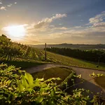 Scarpa - Barolo Luxury Escape 别墅